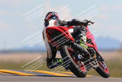 media/Oct-09-2022-SoCal Trackdays (Sun) [[95640aeeb6]]/Turn 9 Backside (120pm)/